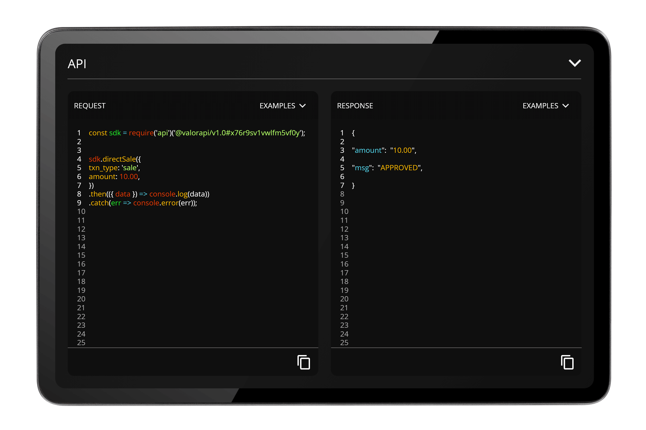 Developer Code Tab Mockup